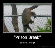 "Prison Break" - Edición Tortuga