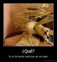 ¿Qué? - Yo no he tenido nada que ver con esto!