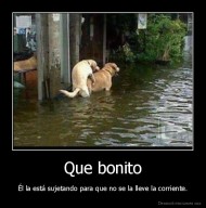Que bonito - Él la está sujetando para que no se la lleve la corriente.