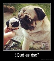 ¿Qué es éso? - 