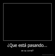 ¿Que está pasando... - en su corral?