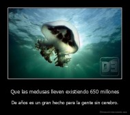 Que las medusas lleven existiendo 650 millones - De años es un gran hecho para la gente sin cerebro.