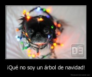 ¡Qué no soy un árbol de navidad! - 