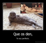 Que os den, - Yo soy perfecto.