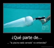 ¿Qué parte de... - ... "la piscina está cerrada" no entiendes?