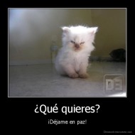 ¿Qué quieres? - ¡Déjame en paz!