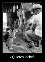 ¿Quieres leche? - 