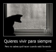 Quieres vivir para siempre - Pero no sabes qué hacer cuando está lloviendo