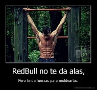 RedBull no te da alas, - Pero te da fuerzas para moldearlas.