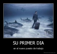 SU PRIMER DIA - en el nuevo puesto de trabajo