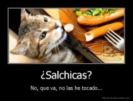 ¿Salchicas? - No, que va, no las he tocado...