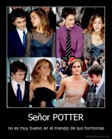 Señor POTTER - no es muy bueno en el manejo de sus hormonas