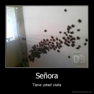 Señora - Tiene usted visita