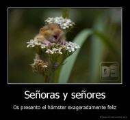 Señoras y señores - Os presento el hámster exageradamente feliz