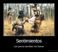 Sentimientos - Los perros también los tienen