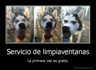 Servicio de limpiaventanas - La primera vez es gratis.