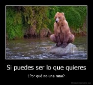Si puedes ser lo que quieres - ¿Por qué no una rana?