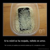 Si tu móvil se ha mojado, mételo en arroz. - Por la noche, los asiáticos se sentirán atraídos por él y arreglarán tu móvil.