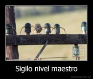 Sigilo nivel maestro - 