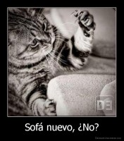 Sofá nuevo, ¿No? - 