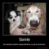 Sonríe - Así siempre estarán preguntándose a qué te propones.