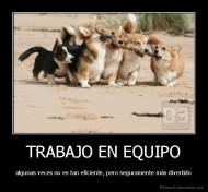 TRABAJO EN EQUIPO - algunas veces no es tan eficiente, pero seguramente más divertido