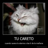 TU CARETO - cuando suena la alarma a las 6 de la mañana