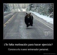 ¿Te falta motivación para hacer ejercicio? - Conoce a tu nuevo entrenador personal.