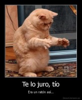 Te lo juro, tío - Era un ratón así...