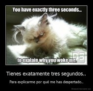 Tienes exatamente tres segundos.. - Para explicarme por qué me has despertado..