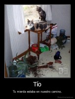 Tío - Tu mierda estaba en nuestro camino.
