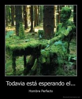 Todavia está esperando el... - Hombre Perfecto