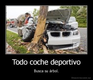 Todo coche deportivo - Busca su árbol.