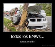 Todos los BMWs... - buscan su árbol
