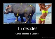 Tu decides - Como pasarás el verano.