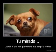 Tu mirada... - Cuando tu jefe pide que trabajes más tiempo el viernes