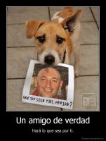 Un amigo de verdad - Hará lo que sea por ti.