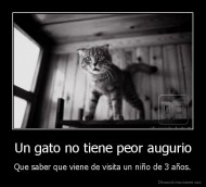 Un gato no tiene peor augurio - Que saber que viene de visita un niño de 3 años.