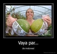 Vaya par... - de melones!