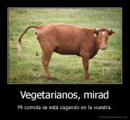 Vegetarianos, mirad - Mi comida se está cagando en la vuestra.