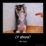 ¿Y ahora? - ¡Me rindo!