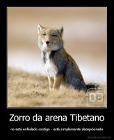 Zorro da arena Tibetano - no está enfadado contigo - está simplemente decepcionado