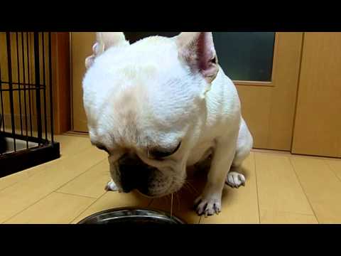 Video: Paciencia - Nivel: Experto