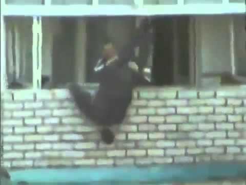 Video: No sé lo que están fumando... - pero yo quiero lo mismo