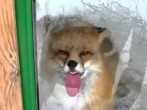 Video: NUEVO VIRUS - encontado afecta el browser firefox