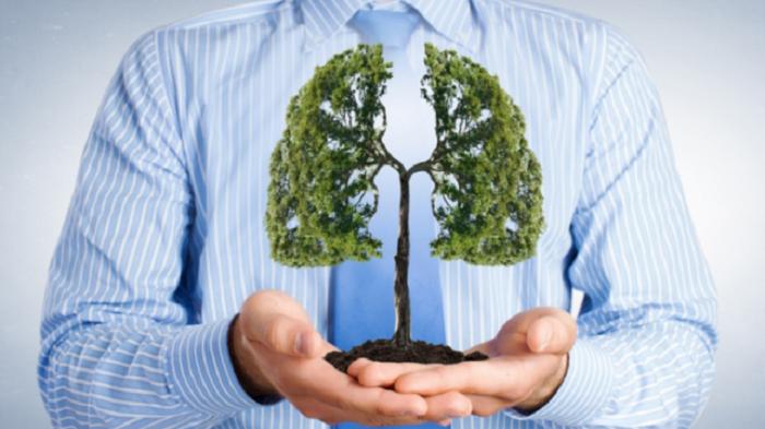 Makanan Dan Minuman Untuk Membersihkan Paru-Paru