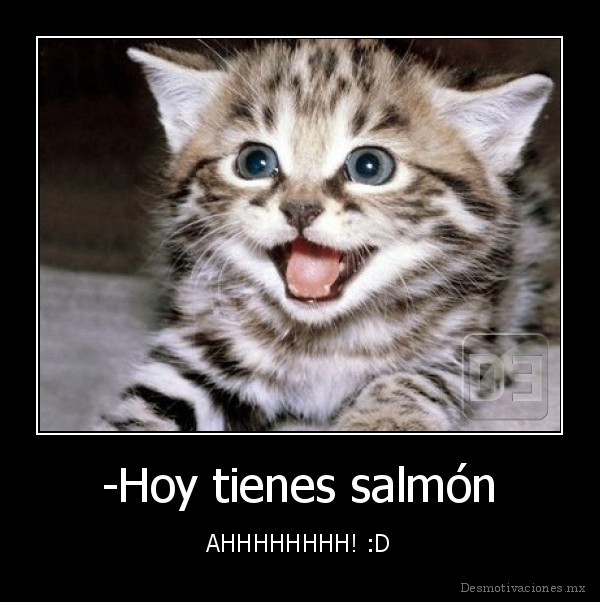 -Hoy tienes salmón