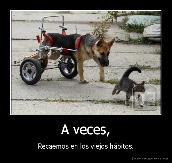 A veces,