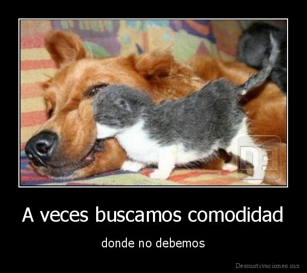 A veces buscamos comodidad