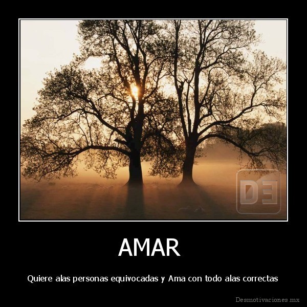 AMAR 